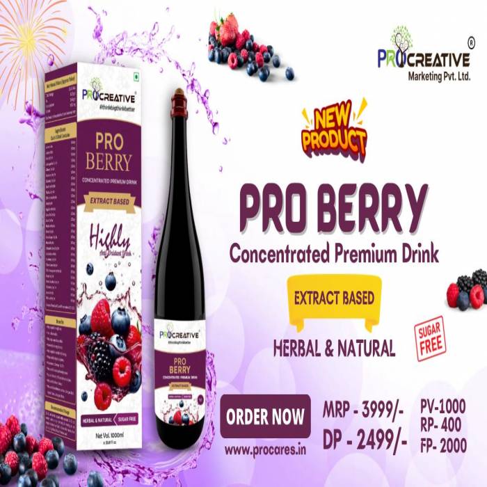 PV--PREMIUM PRO BERRY